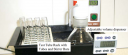 Fructan (hexokinase format)